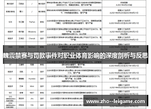 魏震禁赛与罚款事件对职业体育影响的深度剖析与反思